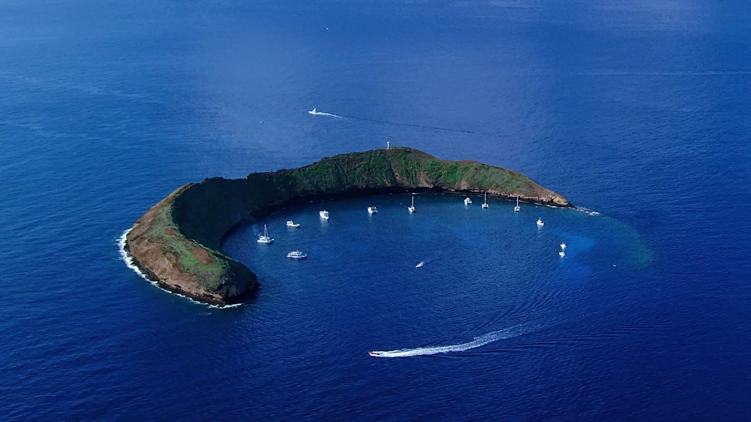 2 Hour Molokini Express Snorkel