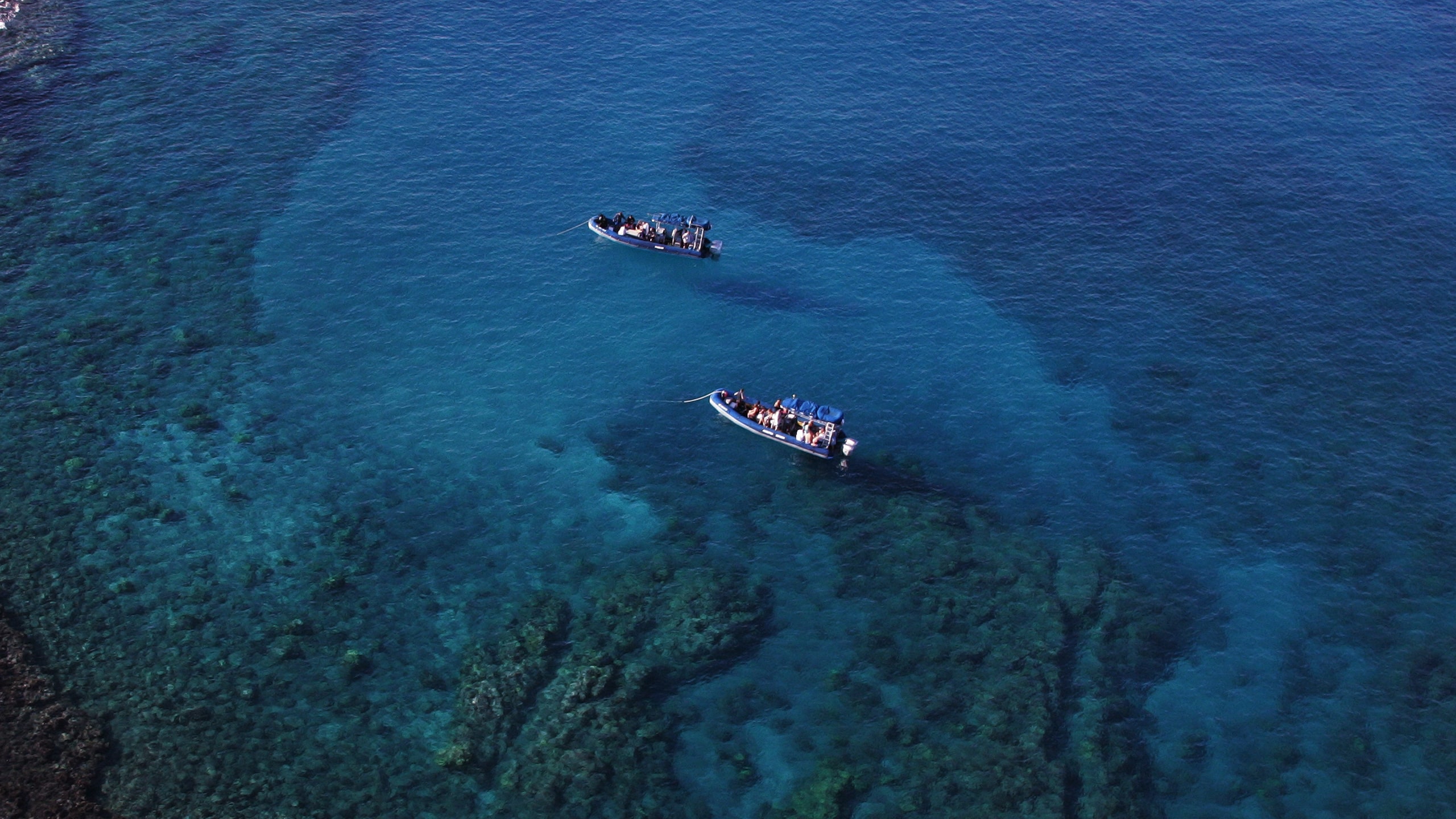 4 Hour Kanaio Coast & La Perouse Bay Snorkel